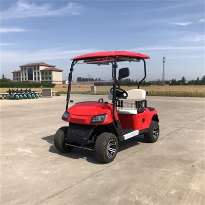 How Many Models Of Sightseeing Golf Carts Are There?